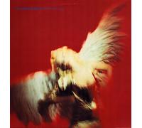 The Jeremy Days - Brand New Toy