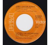 The Jimmy Castor Bunch - Luther The Anthropoid (Ape Man)