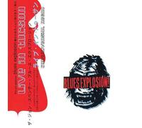 The Jon Spencer Blues Explosion - Controversial Negro by The Jon Spencer Blues Explosion (2010) Audio CD