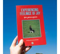 Experiencing Feelings Of Joy