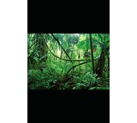The Jungle Medicine Chest: Your Survival Pharmacy from the Rainforest to Your Backyard