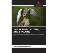 THE KESTREL, FLIGHT, AND STALKING: Little falcon, I glide suspended between the earth and the sky
