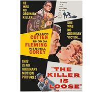 The Killer Is Loose [Edizione: Stati Uniti]