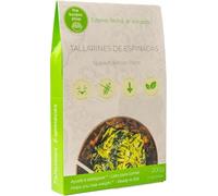 The Konjac Shop - Tagliatelle di Konjac e Spinaci 270g - Senza glutine - Basso in Calorie e Carboidrati - Pasta Vegana, Keto e LowCarb (1 unitá)