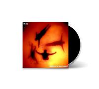The K's I Wonder If the World Knows? (CD) Album
