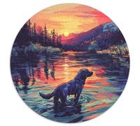 The Labrador Retriever Puzzle 1000 Pezzi Per Adulti E Bambini Confezione Di Alta Qualità Colorato Pet Dogs Splendido Puzzle Intrattenimento Creativo 1000pcs (67.5x67.5cm)