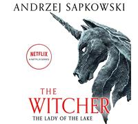 The Lady of the Lake (Witcher series, Book 5)