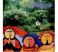 The Ladybug Transistor The Albemarle Sound (CD) Album