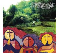 The Ladybug Transistor The Albemarle Sound (Vinyl LP)