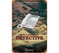 The Landline Detective 2020, targa in metallo con scritta in lingua inglese "The Landline Detective 2020", decorazione da parete retrò vintage, 20,3 x 30,5 cm