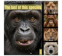 The last of this species (Wall Calendar 2026 12" x 24" / 30 x 60 cm (aperto) Calvendo 12 Month Wall Calendar
