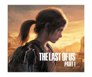The Last of Us Part 1 PC Steam CD Key