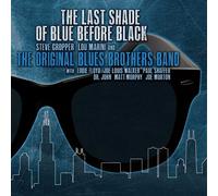 THE LAST SHADE OF BLUE BEFORE BLACK