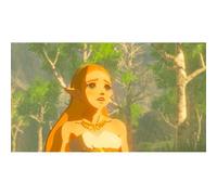 Videogioco per Switch Nintendo The Legend of Zelda : Breath of the Wil
