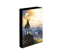 The Legend Of Zelda Tela Print Into The Wilds 30 X 40cm Pyramid International