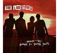 The Libertines Anthems for Doomed Youth (Vinyl LP) 12" Album