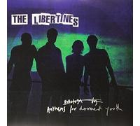 The Libertines Anthems for Doomed Youth (Vinyl LP) 12" Album