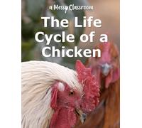 The Life Cycle of a Chicken