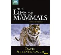 David Attenborough: The Life Of Mammals - The Complete Series (4 Dvd) [Edizione: Regno Unito]