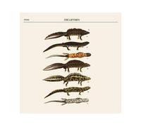 The Liftmen - TWISTED NERVE The Liftmen