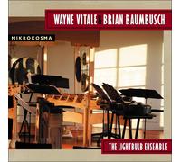 Lightbulb Ensemble - Wayne Vitale & Brian Baumbusch: Mikrokosma