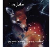 ARE YOU THINKING.. -HQ-