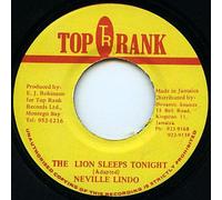 The Lion Sleeps Tonight
