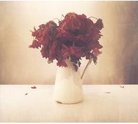 The Lion & the Wolf The Cardiac Hotel (CD) Album