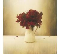 The Lion & The Wolf - The Cardiac Hotel