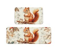 The Little Squirrel Is On The Branch, set di 2 tappeti imbottiti da cucina, comodi tappetini per la decorazione della casa, tappetini da cucina per pavimento antiscivolo, lavabili, 43 x 119 cm + 43 x
