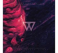 The Lonely Wild Chasing White Light (Vinyl LP)