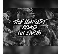 The Longest Road on Earth (PC) Steam Gift - GLOBAL