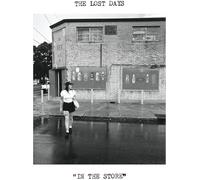 The Lost Days - In The Store [VINYL]