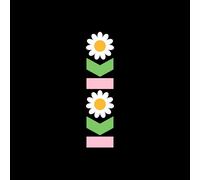 The Lottery Winners KOKO (CD) Album Digipak