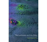 The Luminous and the Grey