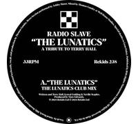 the lunatics (a tribute to terry hall)
