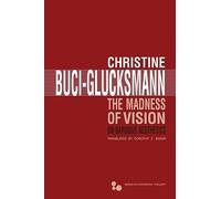 The Madness of Vision: On Baroque Aesthetics