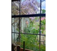 The Magical Garden 6x9 Journal/Notebook