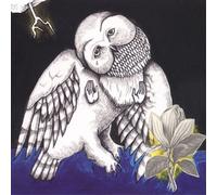 The Magnolia Electric Co. (CD) Album