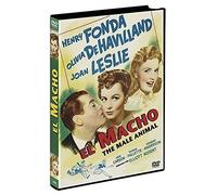 The Male Animal [DVD]