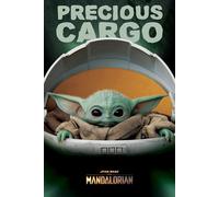 The Mandalorian Grande Poster 61x91.5 CM 61x91.4cm New Star Wars Prezioso Cargo