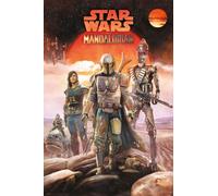 The Mandalorian Poster Star Wars 61x91.5 CM 61x91.4cm Nuovo Sealed Taglia Grande
