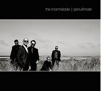 The Marmalade - Penultimate