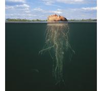 The Mars Volta De-Loused In The Comatorium Black (Vinyl LP)