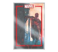 The Marvel Portfolio of Alex Maleev : Daredevil