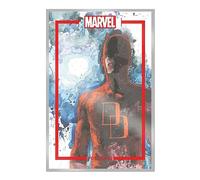 The Marvel Portfolio of David Mack : Daredevil