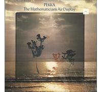 The Mathematician's Air Display - shrink