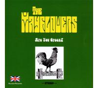 The Mayflowers - Are You Green [Ltd. Release]