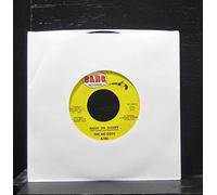 The McCoys - Hang On Sloopy