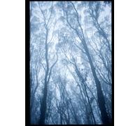 THE MISUNDERSTOOD CREATOR: Awake! Satan never had power